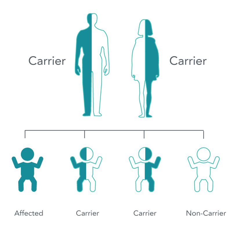 Both parents are carriers graphic