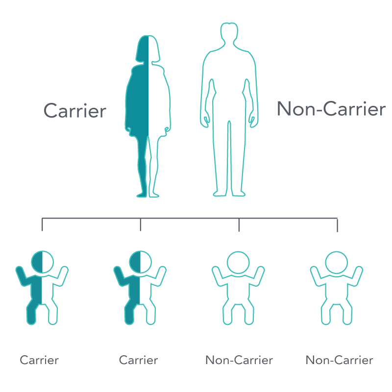 Mother is a carrier, father is a non-carrier